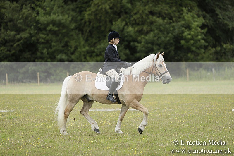 BVR160717-1157 - Class 2 Dressage 16/07/17