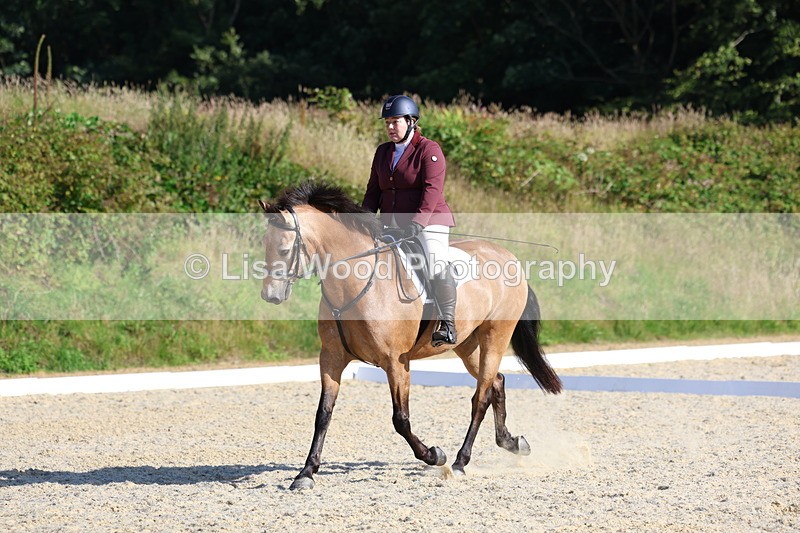 3E7A3393 - Class 2: Intro 1 2024 Section B