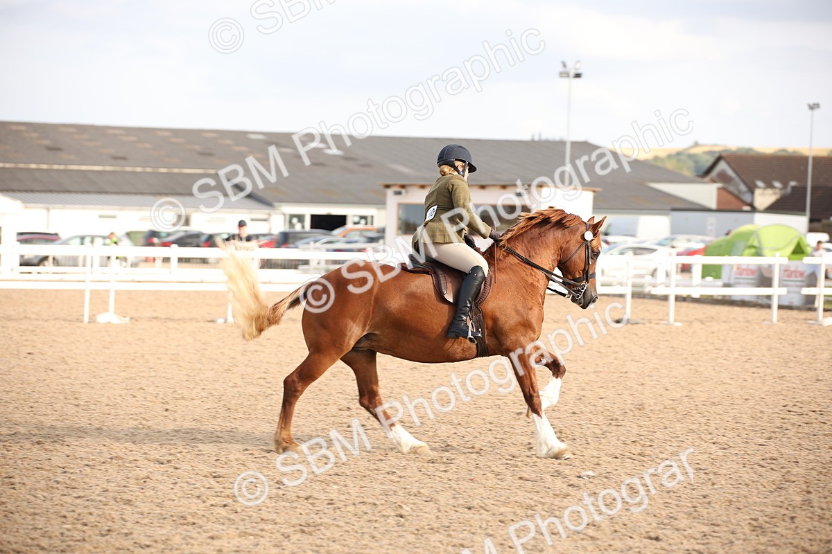 SBM_08821 - Class 12R Regional Ridden Pre-Vet