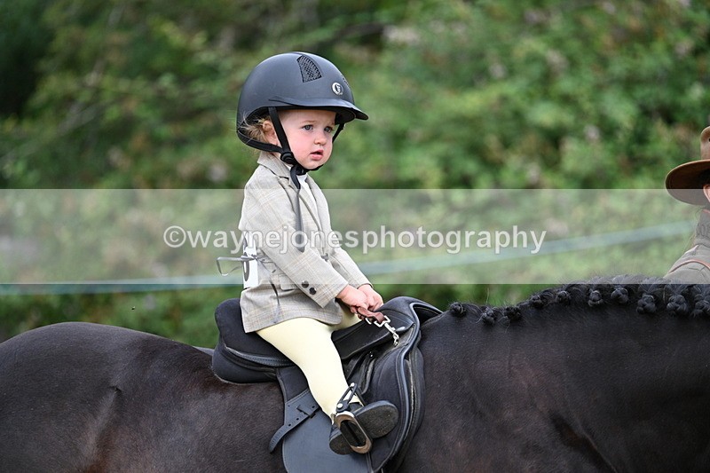 WJ7_9669 - Class 1 Lead Rein Pony