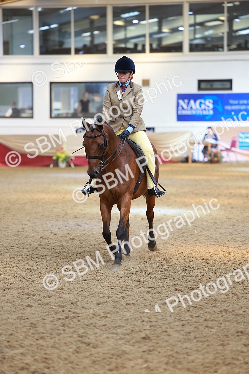 SBM_12580 - Class 103 - HOYS Veteran Qualifier - Ridden Pre Vet