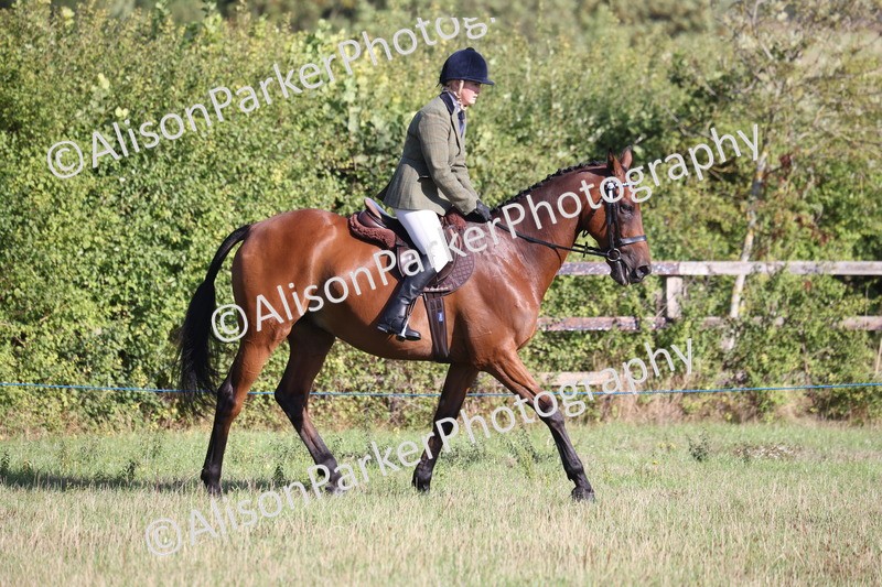 20260906-0351 - Class 14 - Ex Racehorse