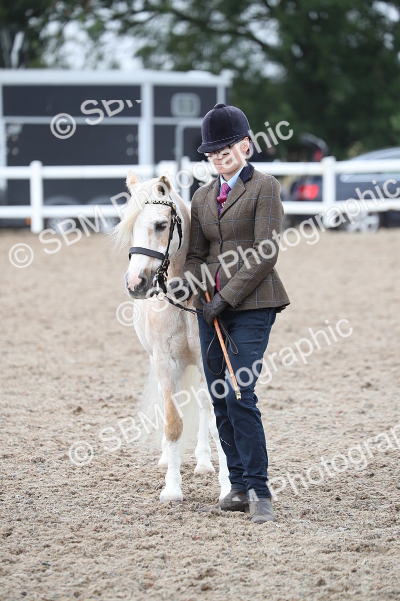 SBM_22558 - Class 604 - 2025 Area - IH Diamond