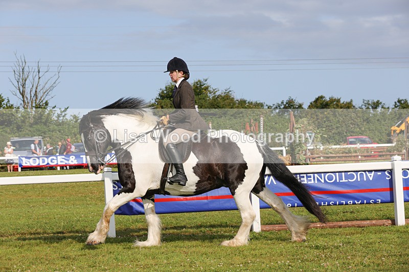 1X9A3147 - Class 27:  Ridden Native/Trad Coloured Horse