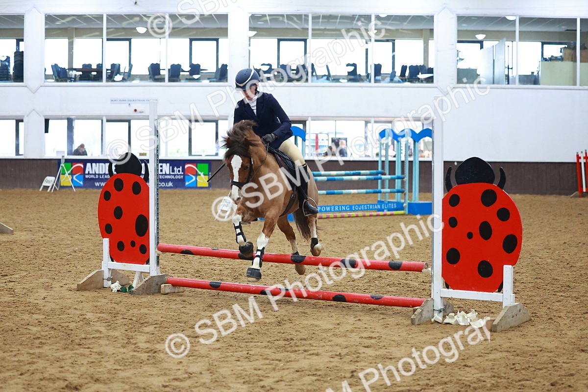 SBM_000398 - Class 19 - 50cm