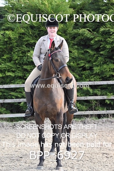 BPP_6927 - RING 1  (RIDDEN HORSES / IN HAND / VETERAN ETC)