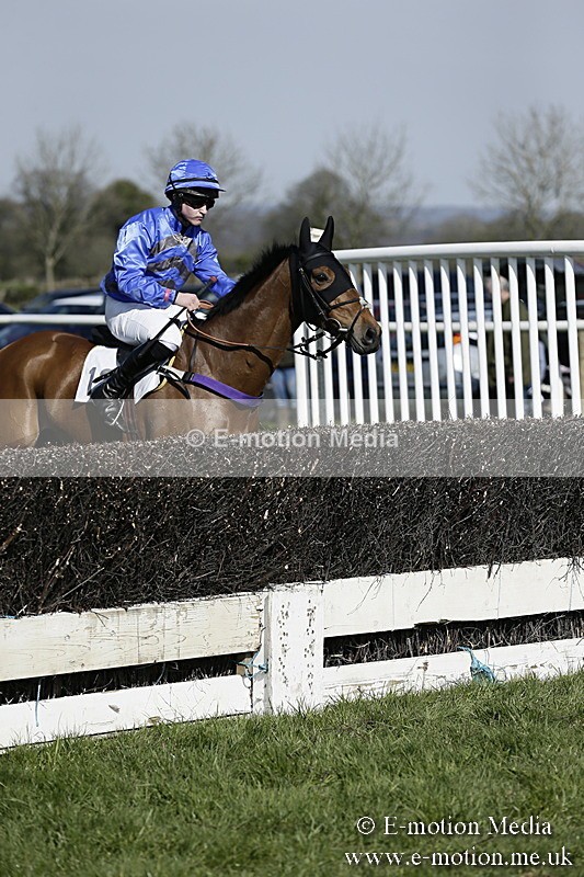 PtP 260317 155 - Mendip Farmers Point-to-Point Ston Easton 26/03/17