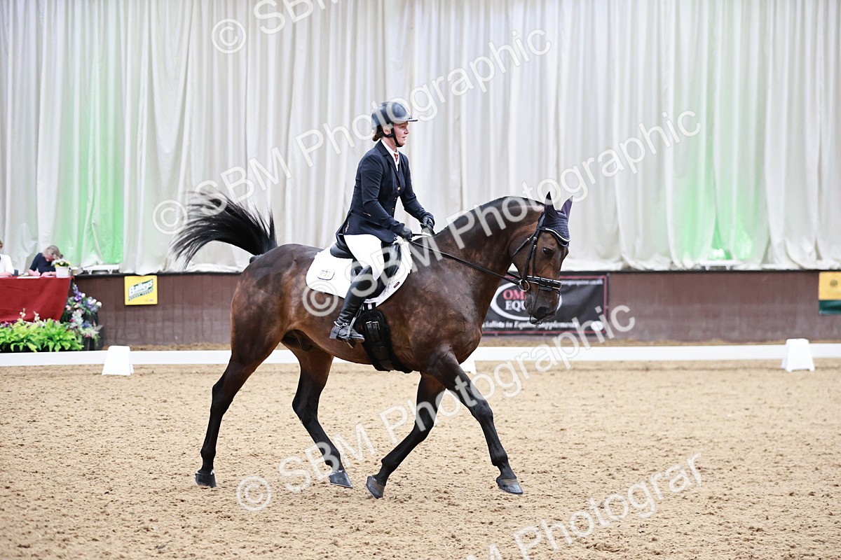 SBM_014370 - Class 7 - Ele FSM Bronze  13.24.14.04