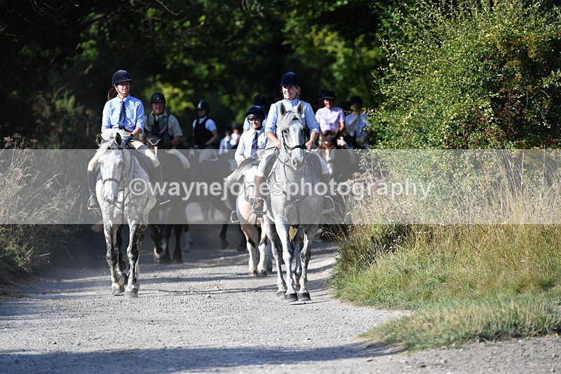 WJ5_4871 - Walk out with the hounds
