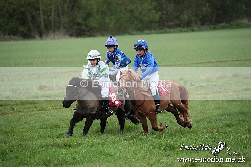 SHETPR 210425 188 - Shetland Ponies Paxford Races 21/04/25