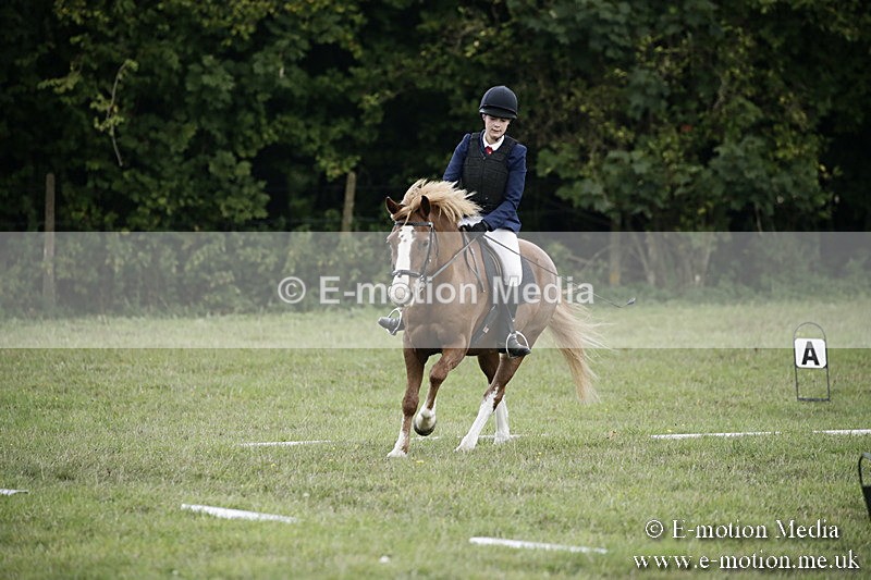 BVR090918 241 - BVRC Dressage and Show Jumping 09/09/18
