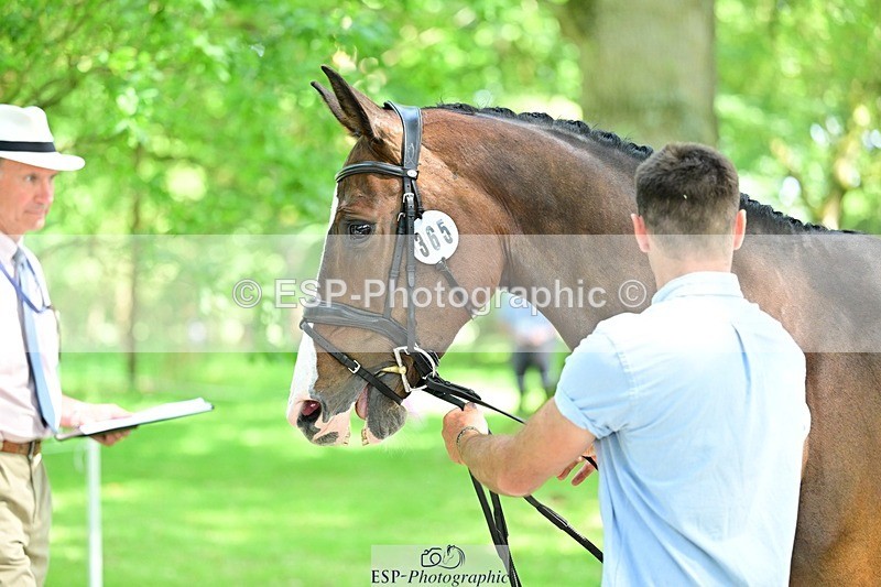260527A-151617-01019 - C-365-Sam.Gillespie