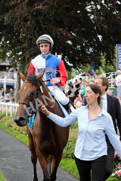 yr19082022r5-37 - Race 5 4.10pm Assured Data Protection EBF Fillies' Stakes