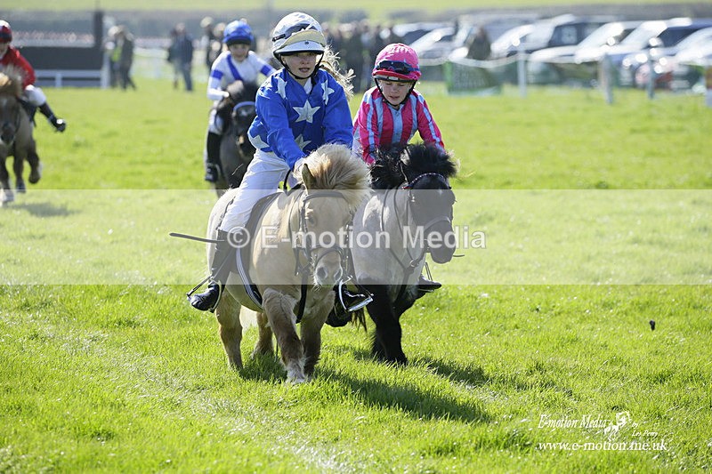 PtP 190322 14 - Wilton Hunt PtP Milborne St Andrew 19/03/22
