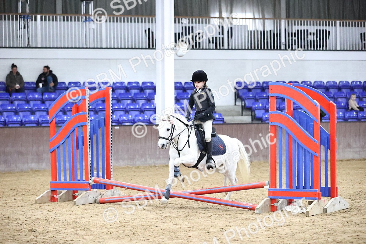 SBM_000057 - Class 1 - Fox Farriers 30cm