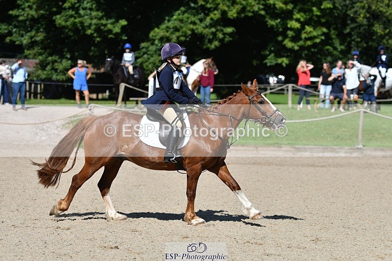 240728-100431-02097 - PC70, Round 2