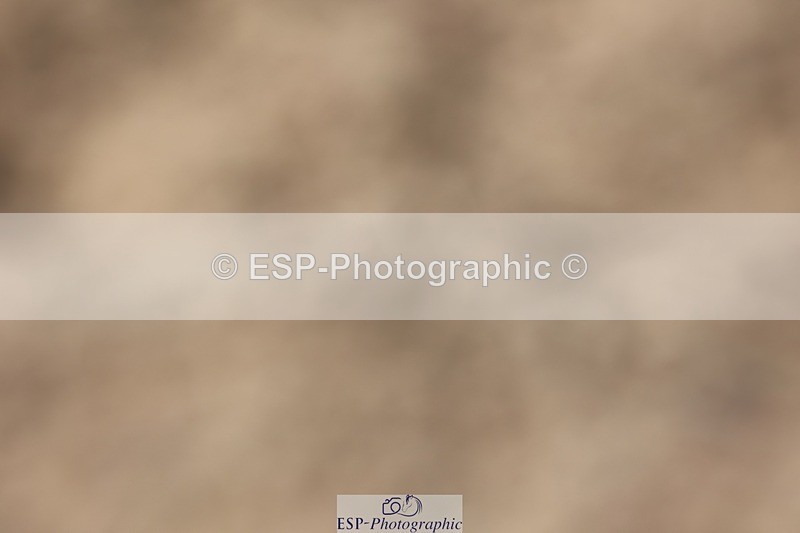 250621-160031-09969 - Cls 40 - FEI Inter I, 15.50 to End