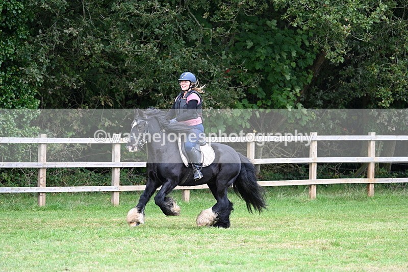 WJ7_7881 - 40cm Time 10:49 to 11:18