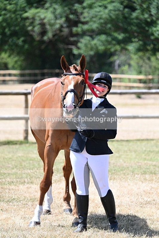 WJ7_2448 - Class 5a Most Handsome Gelding in hand (above 14.2hh)