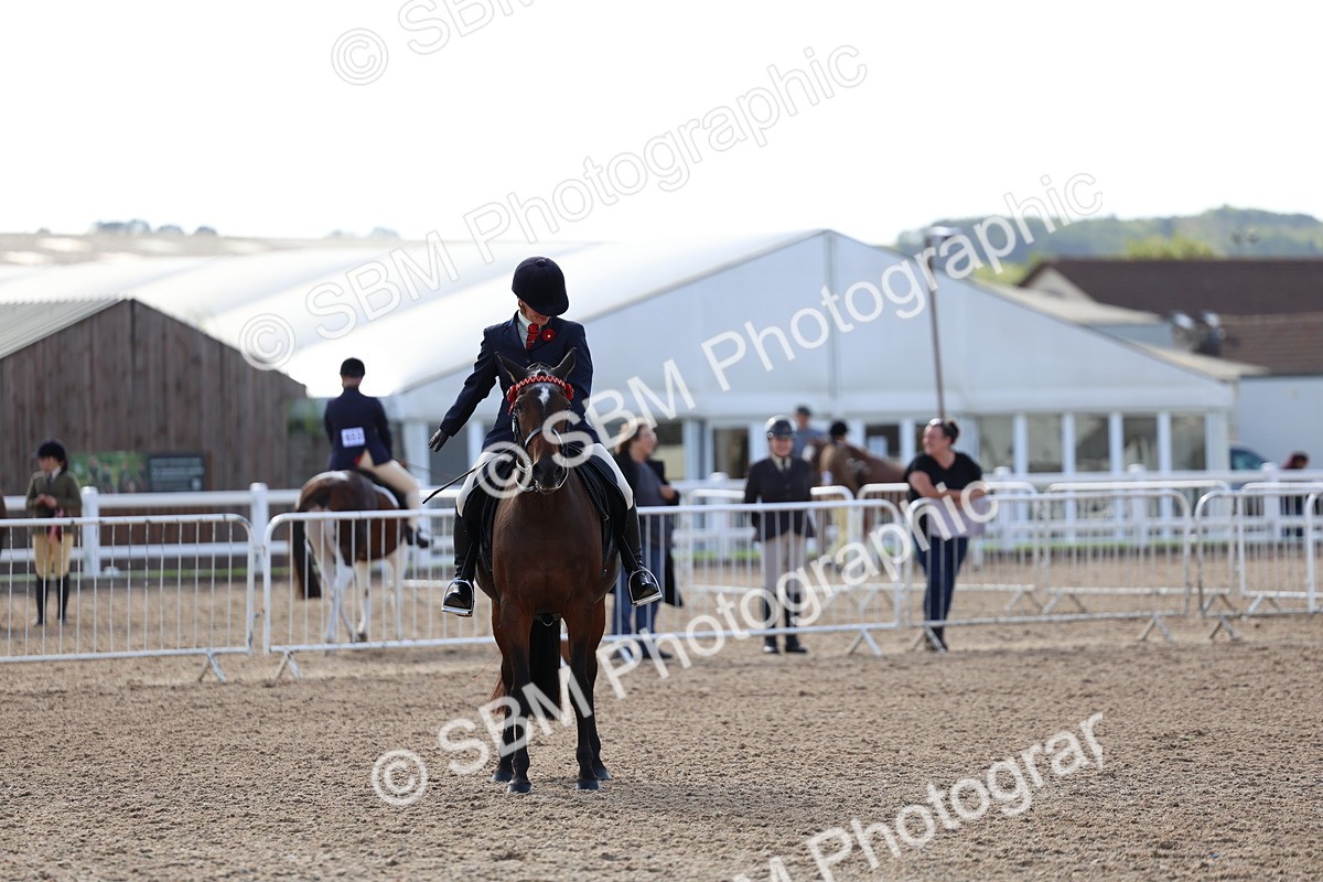 SBM_09147 - Class 303 - Ridden Pure Bred Horse Pony