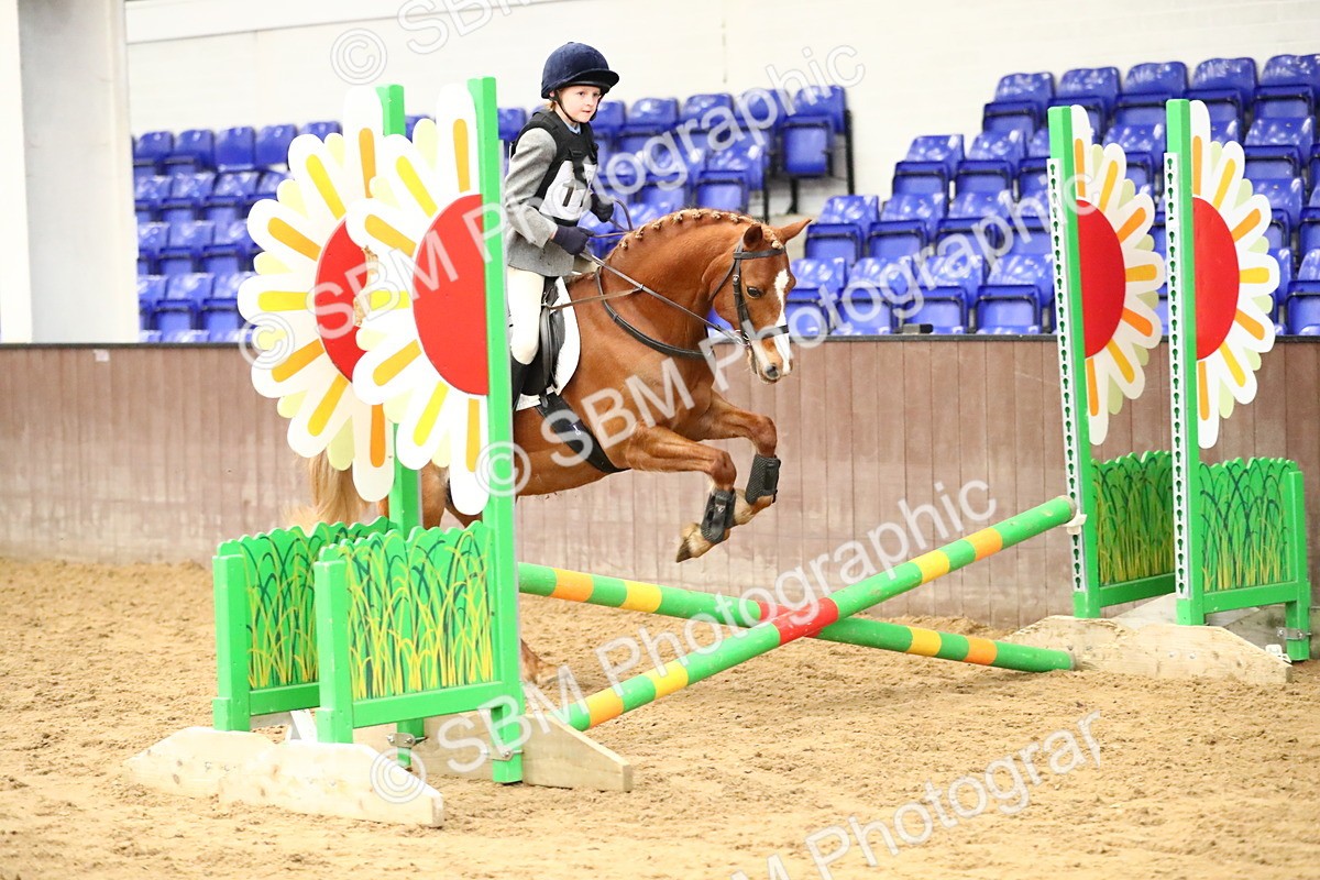 SBM_001184 - Class 3 - 50cm