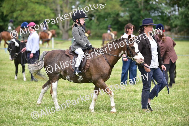 20260614-1399 - Class 11b - Lead Rein Pony (Plaited)