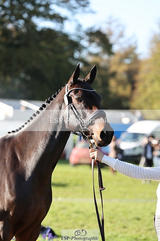 241027-095625-15592 - 553-Hanna.Bertorelli-BWTH.CLASSIC.CUT