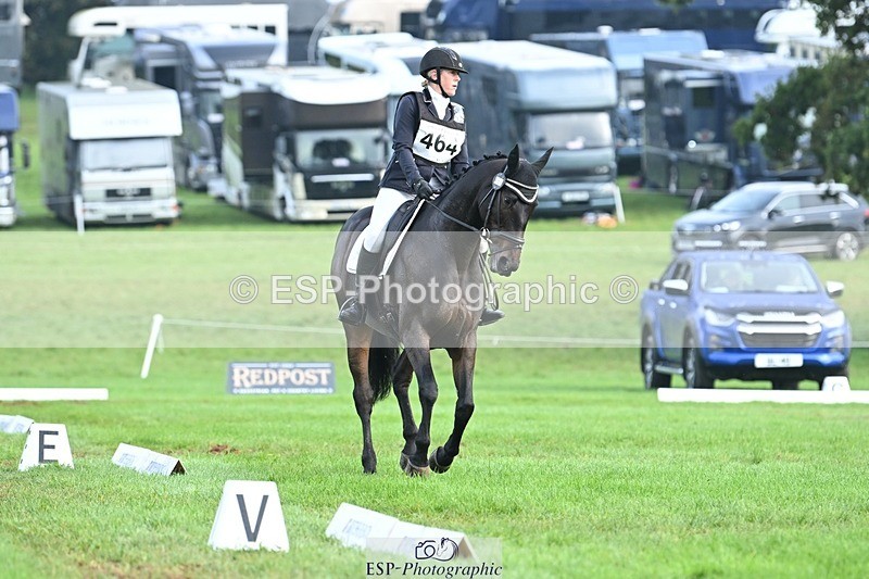 231020-094527-05749 - 464-IMPERIAL.TANGLE-Deborah.Burrell-DR