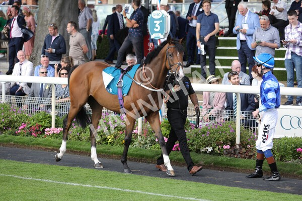 yr19082022r7-4 - Race 7 5.20pm Sky Bet Mile Stakes