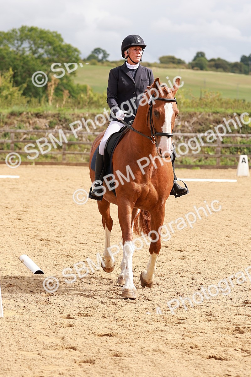 SBM_001336 - Prelim 2