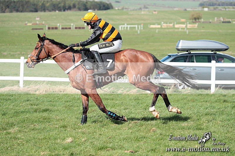 PtP 230324 573 - Tedworth Hunt PtP Larkhill Raccourse 23rd March 2024