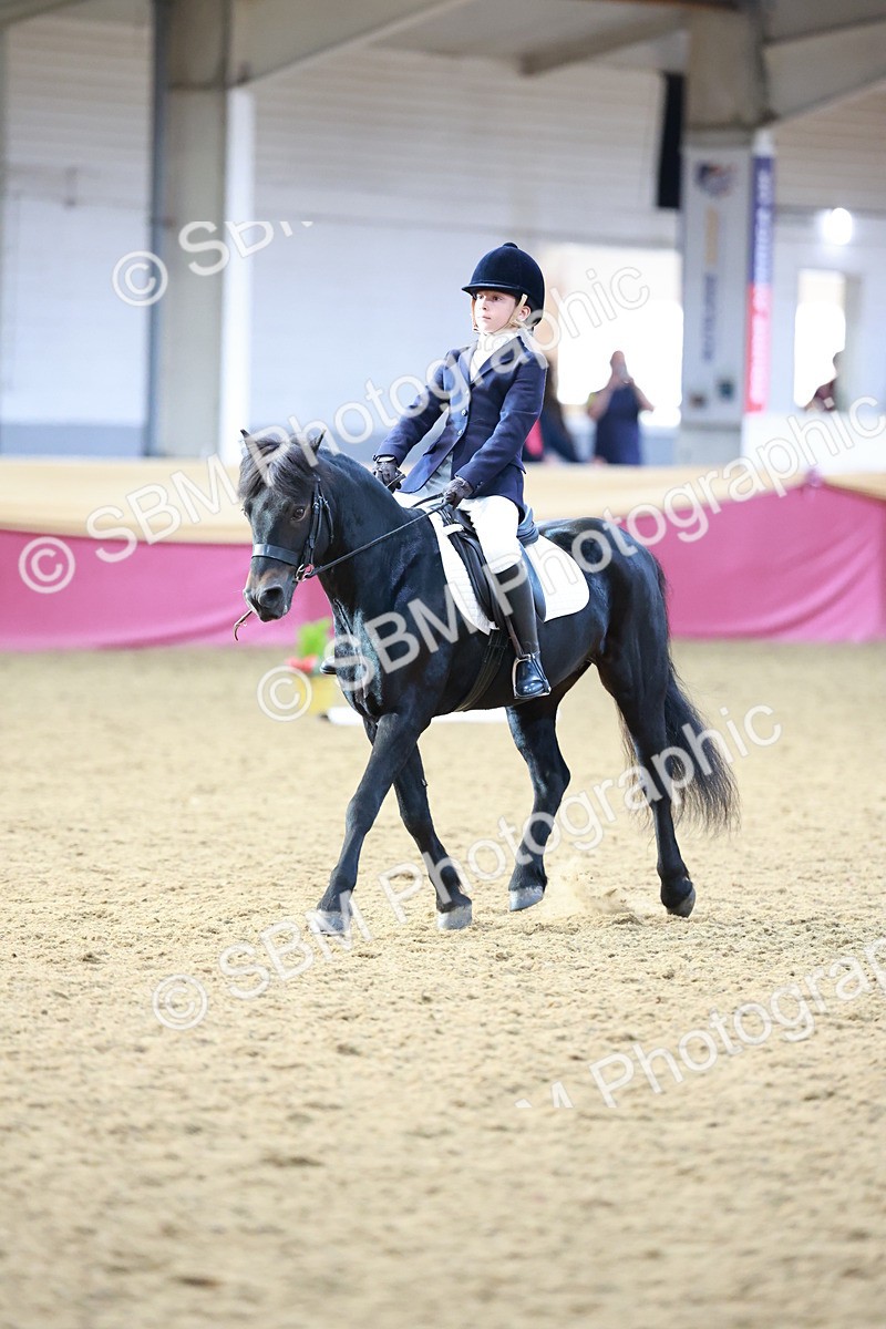 SBM_09195 - Class 61 - Dressage to Music