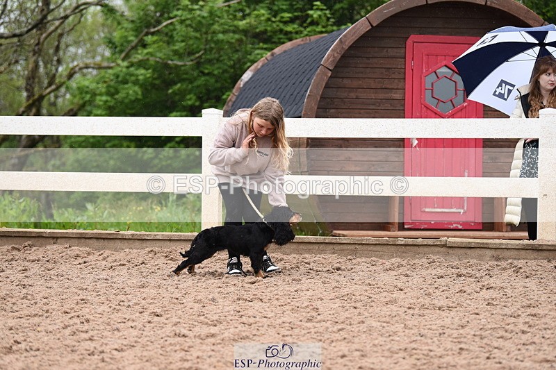 240518A-124814-01207 - Cls 5 Best Purebred