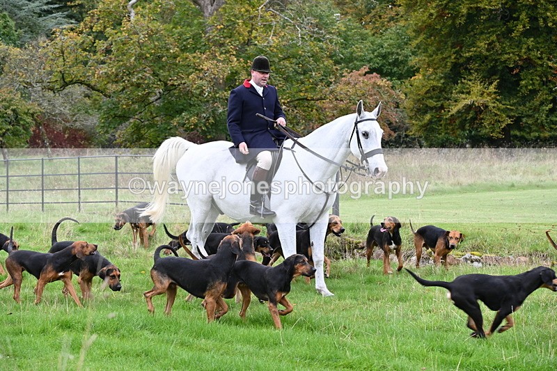 WJ6_0080 - Camera 2 Meet