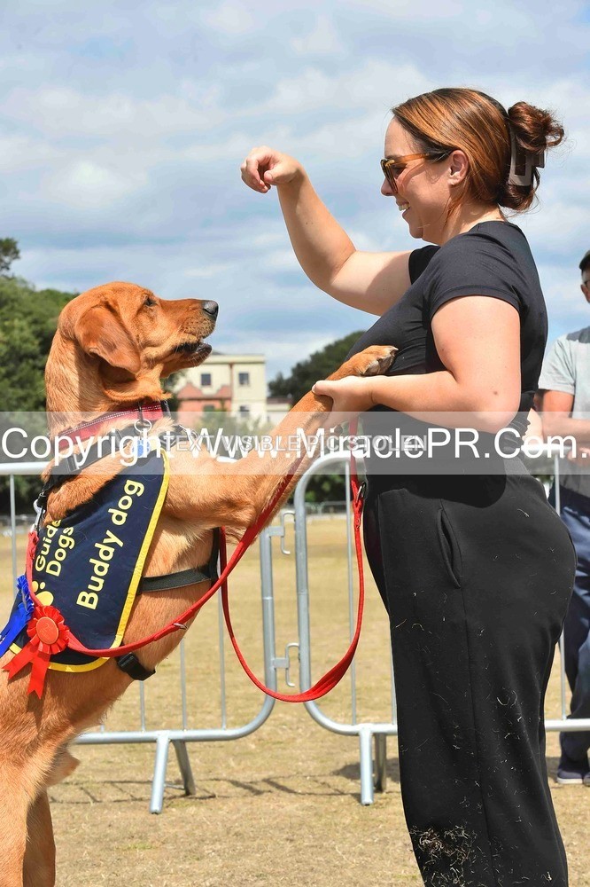 SH4_0271 - Dog show.
