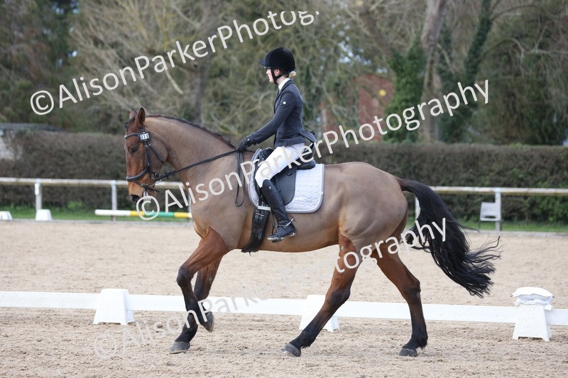 20260228-0820 - Class 6 - Novice 3