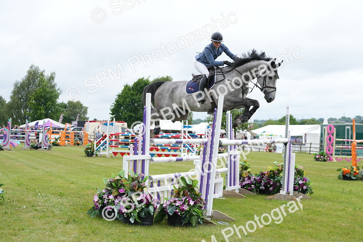 SBM_03172 - Class 201 - British Horse Feeds Speedi Beet Horse of the Year Show Grade  C