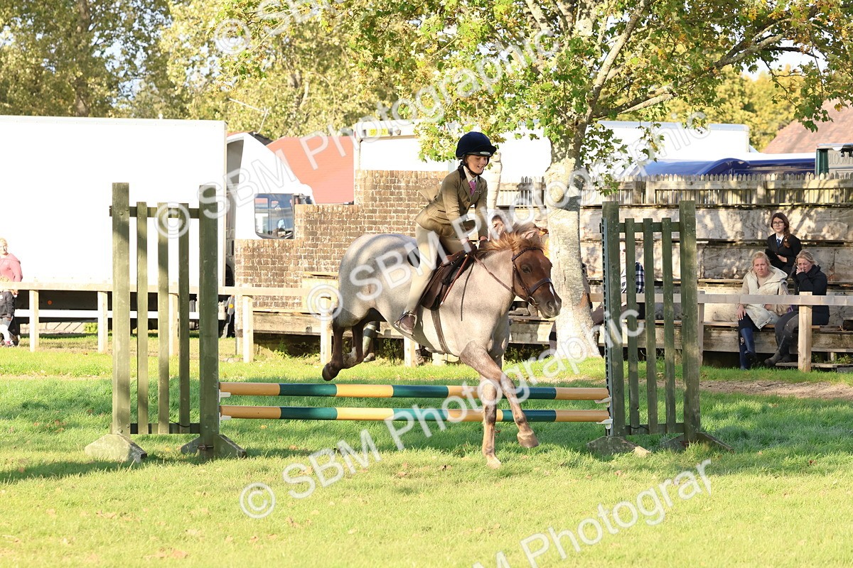 SBM_52643 - S13 - Pony Club Pony