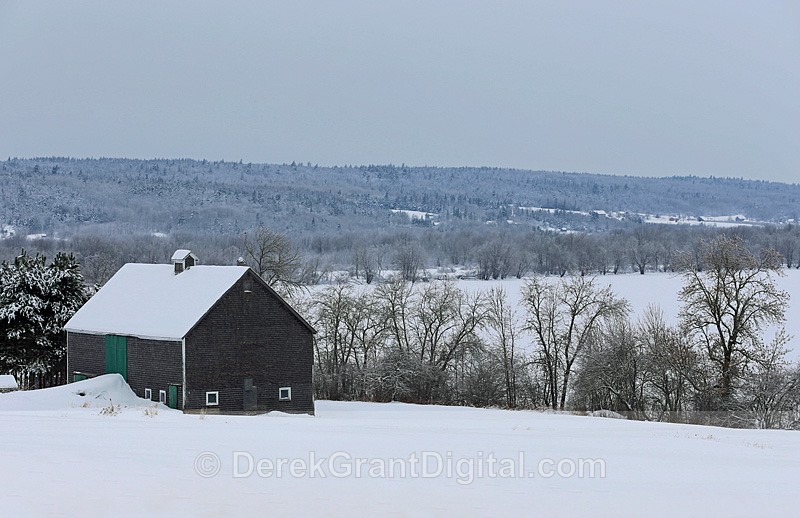 Barn with a View