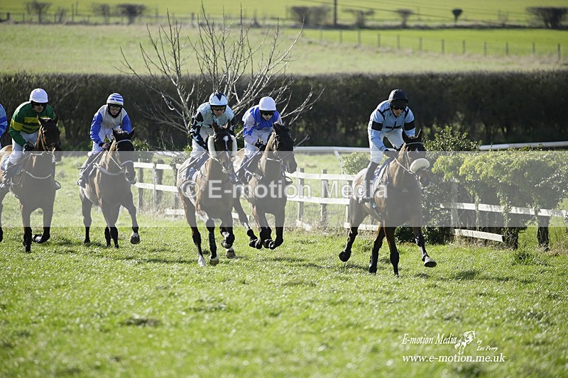 PtP 260222 557 - Kingston Blount Racing Club Point-to-Point 26/02/22