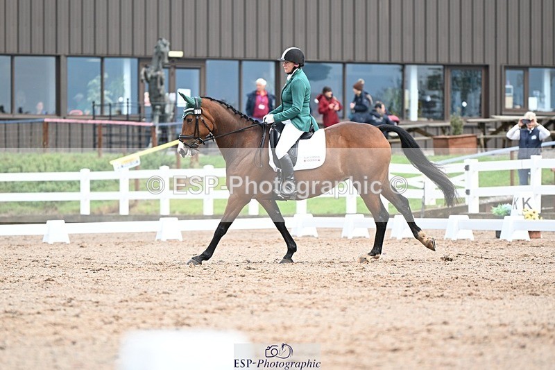 250907-113725-07265 - 001-Tracy.OKennedyWylye.Harlequin