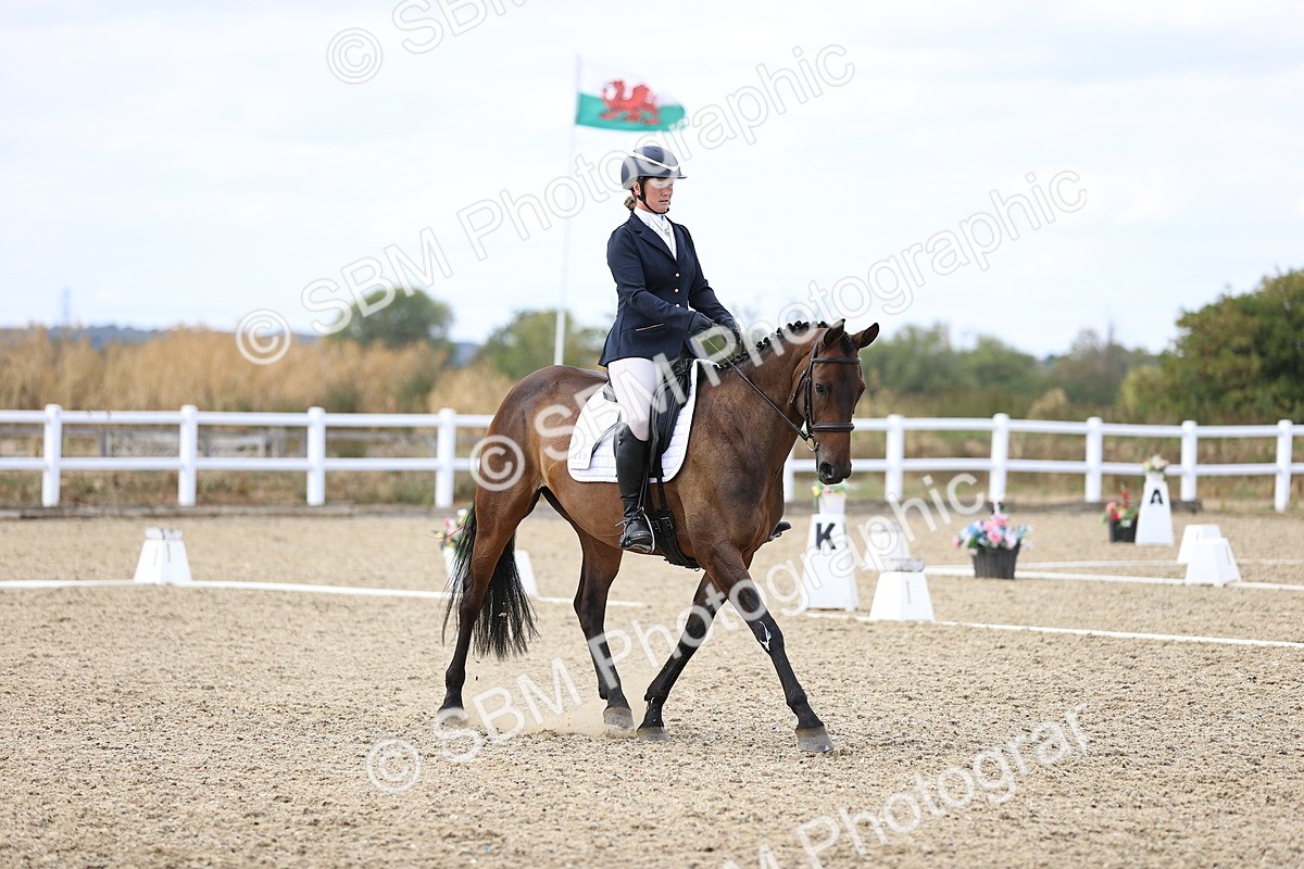 SBM_015362 - Class 5 - E5 Bronze 14.42.15.54