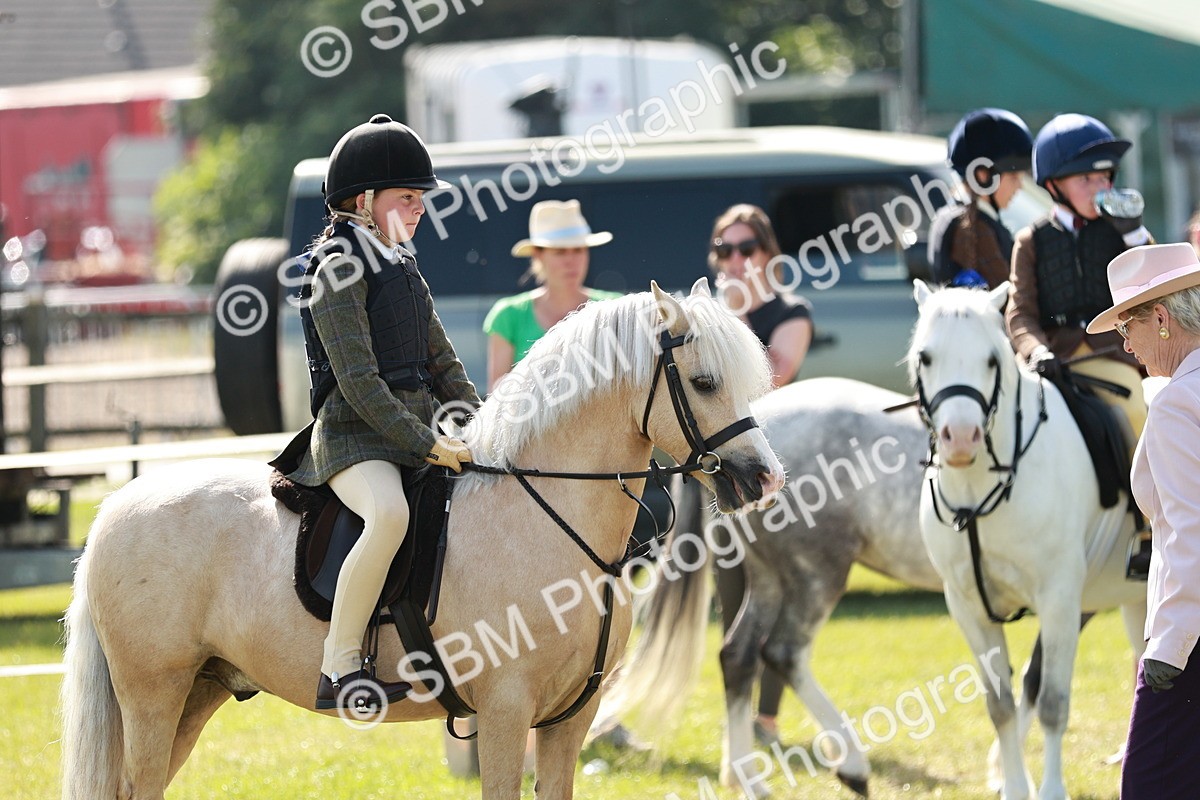SBM_12660 - Class 106-107 - BSPS LIHS Working Sports Pony