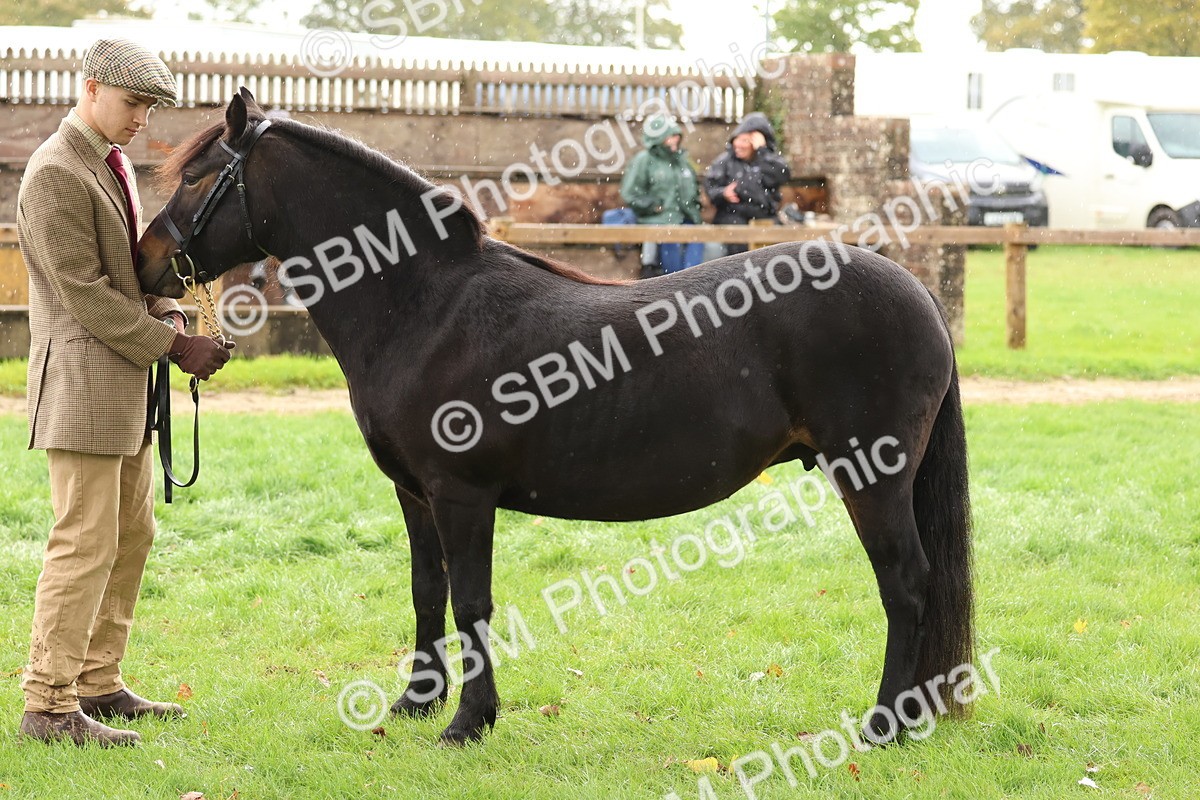 SBM_39328 - S24 - Young Veteran In Hand