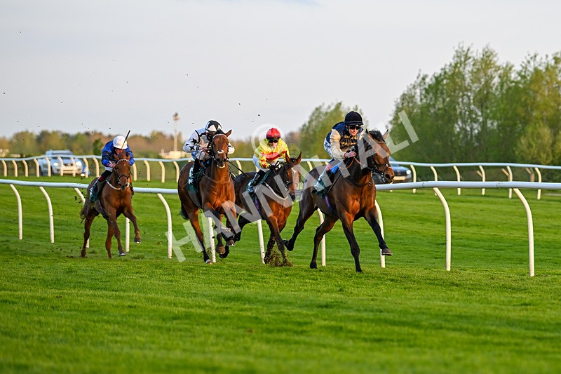 300424-Race 6-Kodi Lion-3075 - Race 6