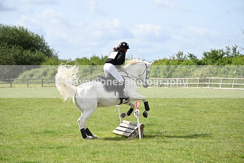 WJ6_2649 - Class 2 40cm