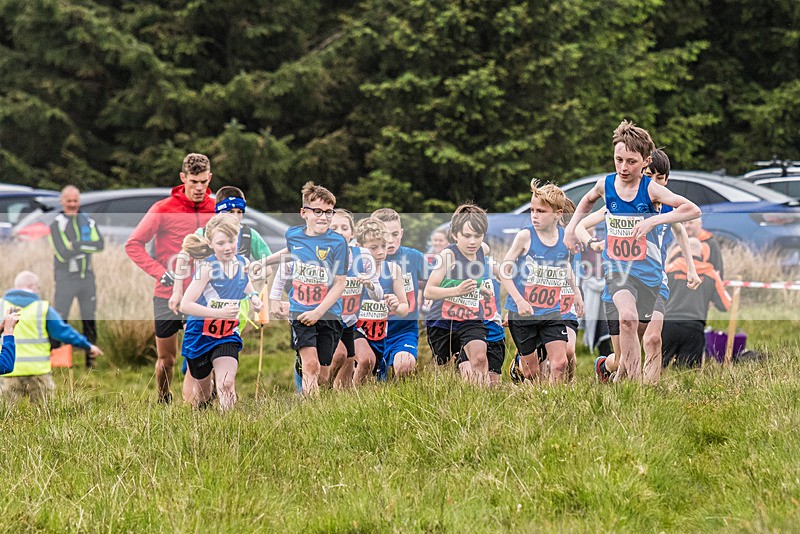 Latterbarrow-53 - Latterbarrow Loop Fell Race Wednesday 24th May 2023