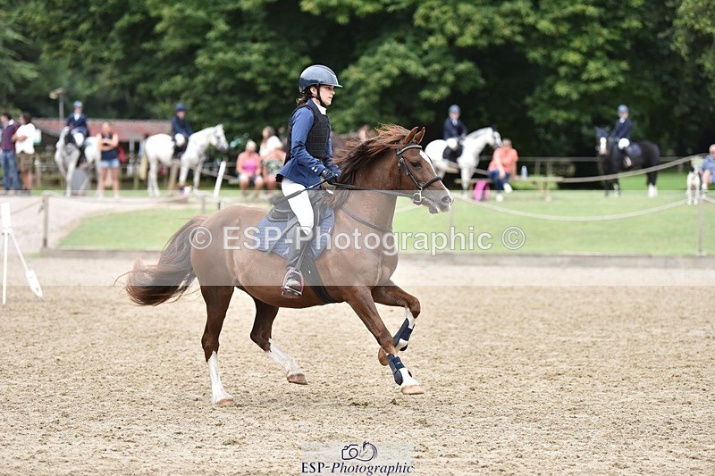 240802-104016-00906 - 80cm Round 1