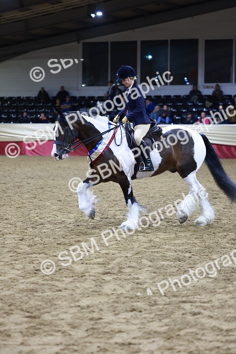 SBM_21315 - Class S - Style & Performance Champ