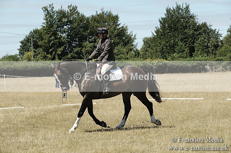 _PJP5909 - Dressage Classes BVRC Show 2018